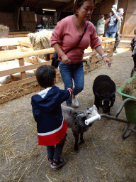 Miaomiao and Max with sheep at the Texel Sheep Farm at Den Burg