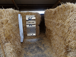 Distorting mirror at the entrance to the maze at the Texel Sheep Farm at Den Burg