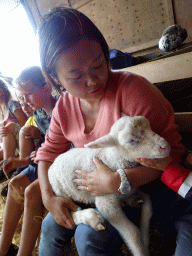 Miaomiao cuddling a lamb at the Texel Sheep Farm at Den Burg