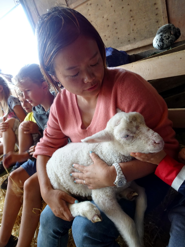 Miaomiao cuddling a lamb at the Texel Sheep Farm at Den Burg