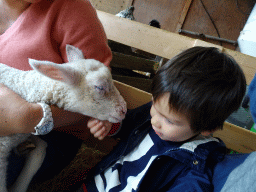 Miaomiao and Max cuddling a lamb at the Texel Sheep Farm at Den Burg