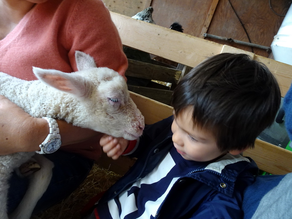 Miaomiao and Max cuddling a lamb at the Texel Sheep Farm at Den Burg