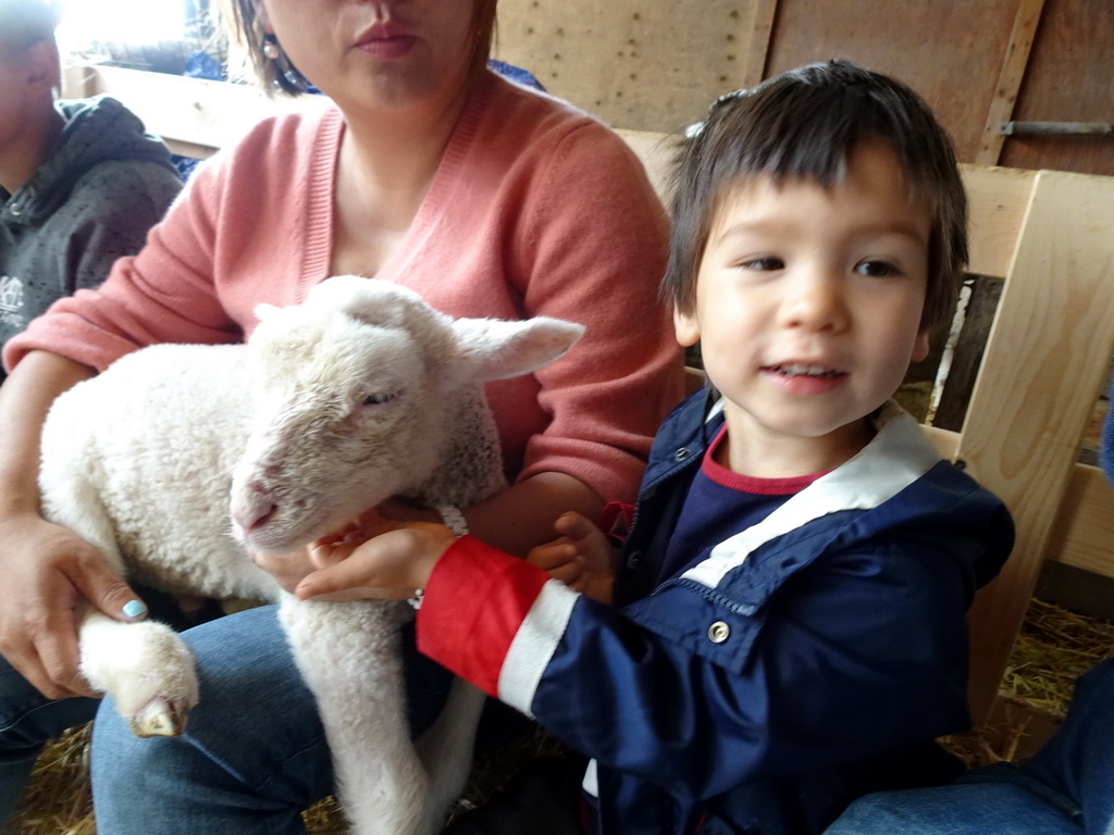 Miaomiao and Max cuddling a lamb at the Texel Sheep Farm at Den Burg