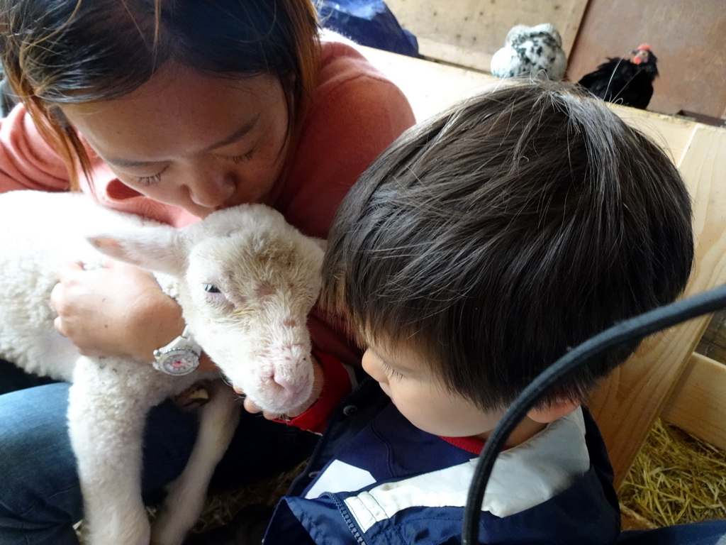 Miaomiao and Max cuddling a lamb at the Texel Sheep Farm at Den Burg