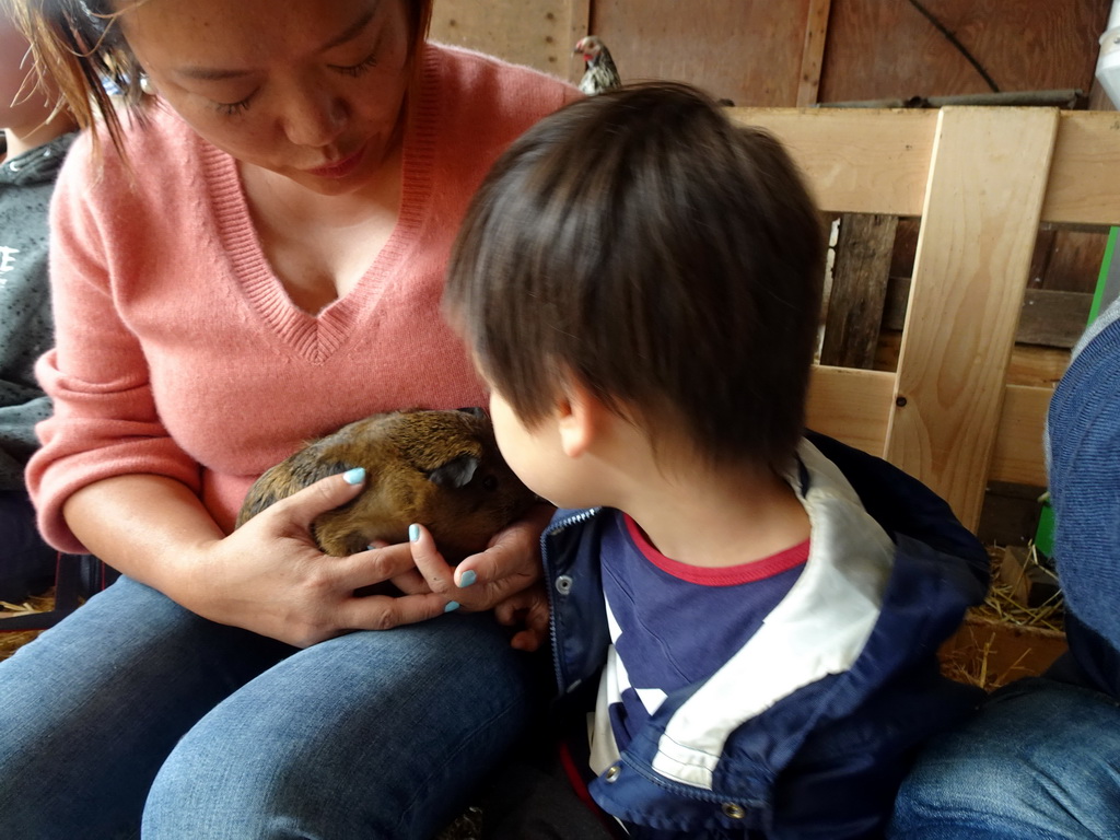 Miaomiao and Max cuddling a guinea pig at the Texel Sheep Farm at Den Burg