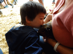 Miaomiao and Max cuddling a guinea pig at the Texel Sheep Farm at Den Burg