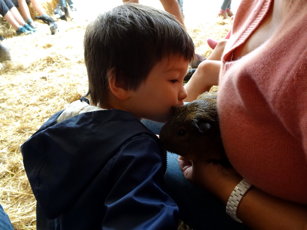 Miaomiao and Max cuddling a guinea pig at the Texel Sheep Farm at Den Burg