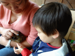 Miaomiao and Max cuddling a guinea pig at the Texel Sheep Farm at Den Burg