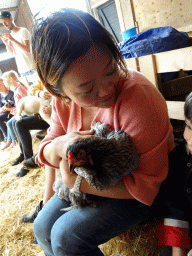 Miaomiao and Max cuddling a chicken at the Texel Sheep Farm at Den Burg