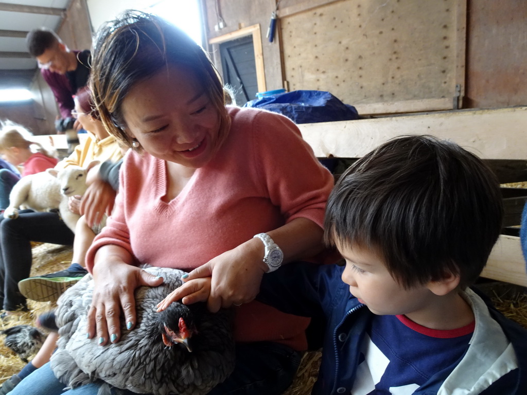 Miaomiao and Max cuddling a chicken at the Texel Sheep Farm at Den Burg