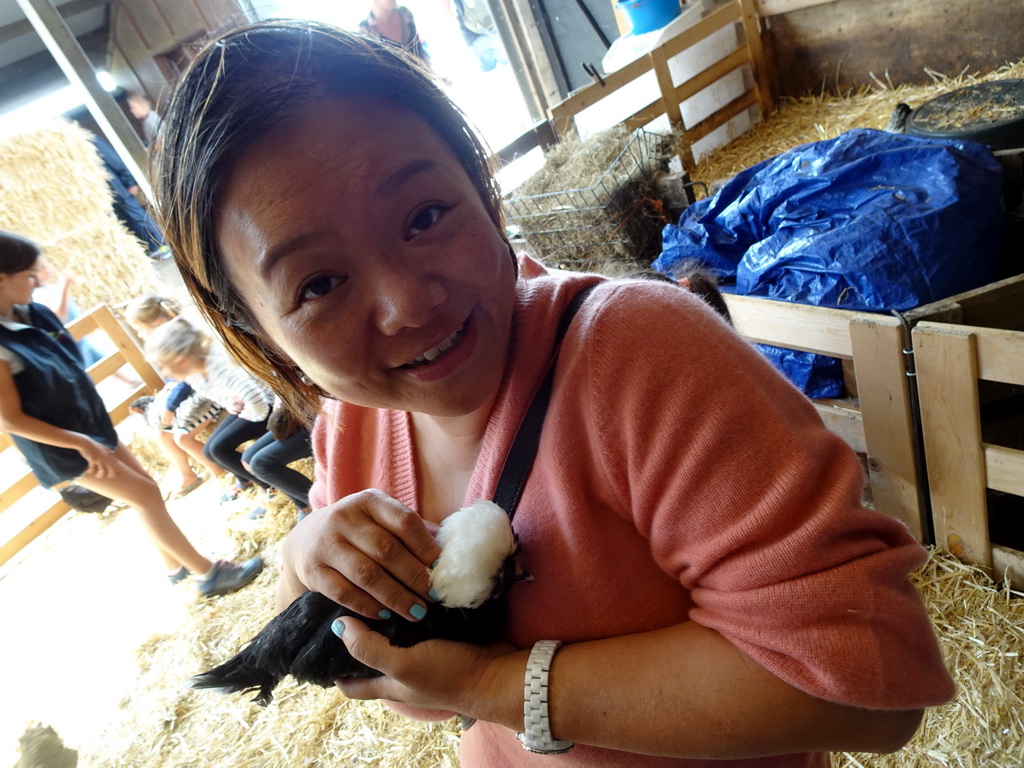 Miaomiao cuddling a chicken at the Texel Sheep Farm at Den Burg