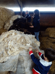 Max playing with wool at the Texel Sheep Farm at Den Burg
