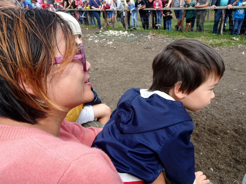 Miaomiao and Max looking at the Australian Working Kelpies and sheep at the Texel Sheep Farm at Den Burg