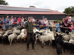 Shepherd, Australian Working Kelpie and sheep at the Texel Sheep Farm at Den Burg