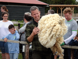 Shephard with wool at the Texel Sheep Farm at Den Burg