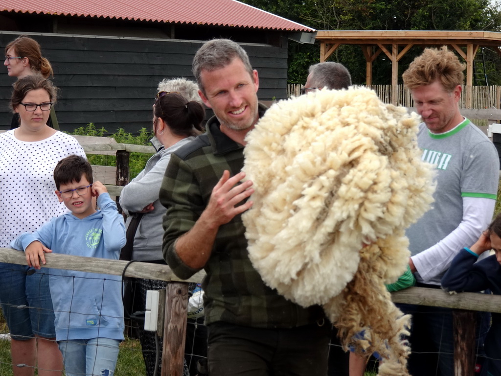 Shephard with wool at the Texel Sheep Farm at Den Burg