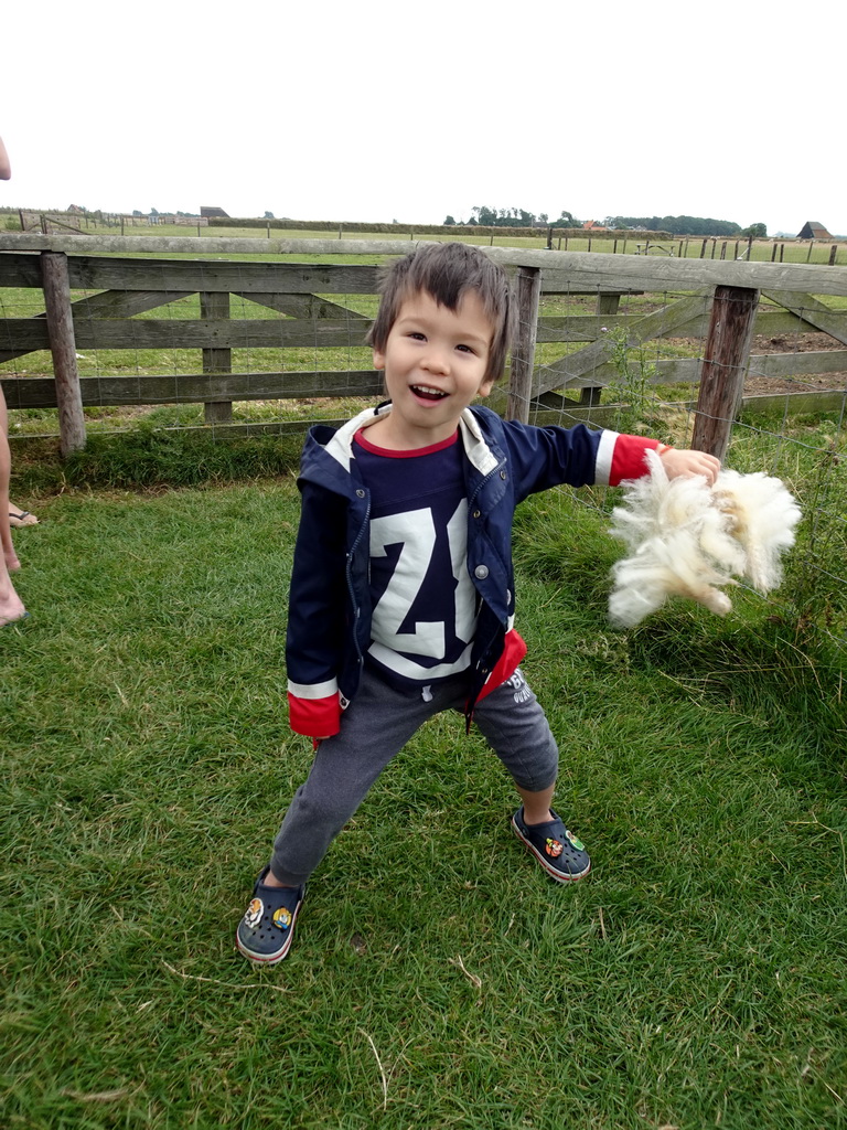 Max with wool at the Texel Sheep Farm at Den Burg
