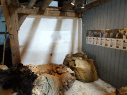 Projection screen and photographs at the Texel Sheep Farm at Den Burg