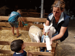 Max and a farmer feeding a lamb at the Texel Sheep Farm at Den Burg