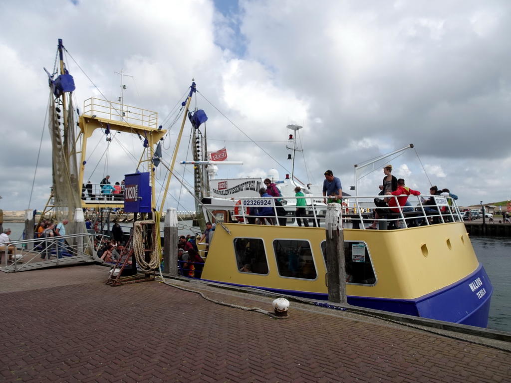 Tour boat in the harbour of Oudeschild