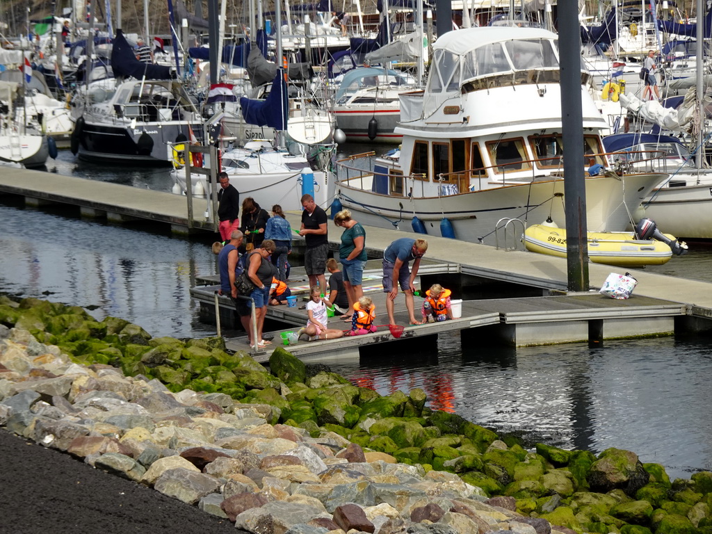 People catching crabs at the Waddenhaven harbour at Oudeschild