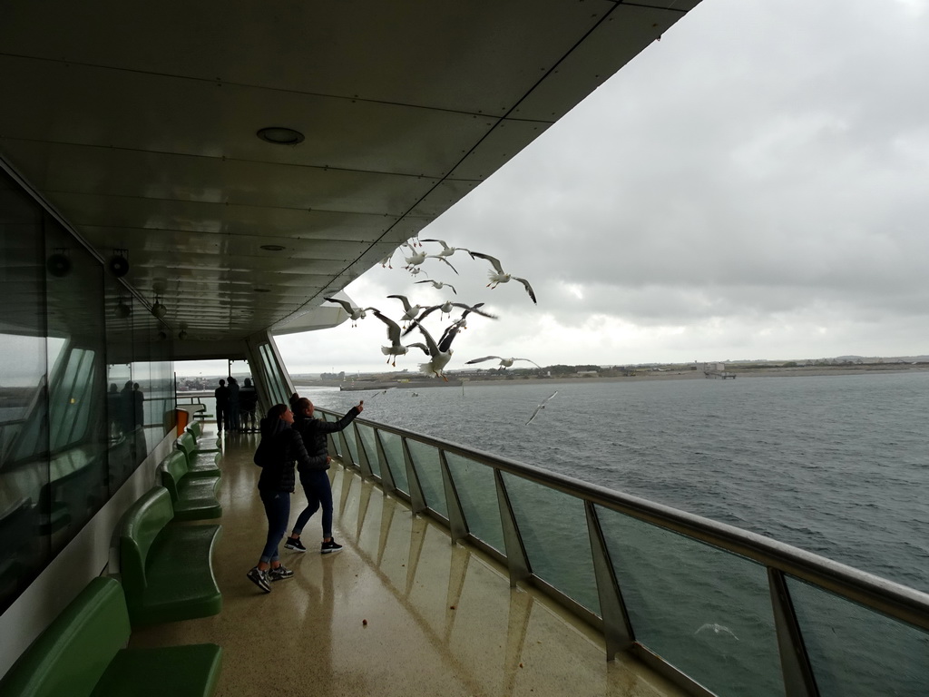 Seagulls at the deck of the fourth floor of the ferry to Den Helder