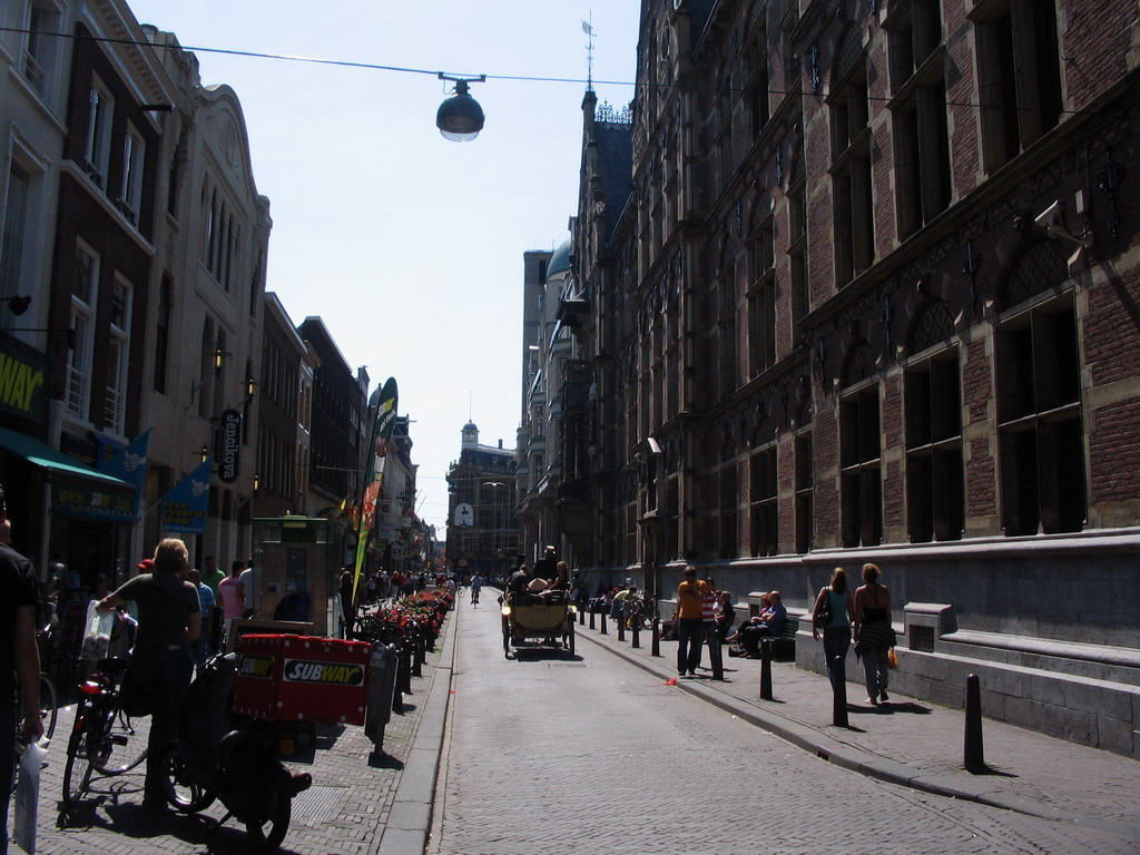 Horses and carriage at the Lange Poten street