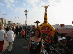 Miaomiao with beach pavilions at the Strandweg street of Scheveningen