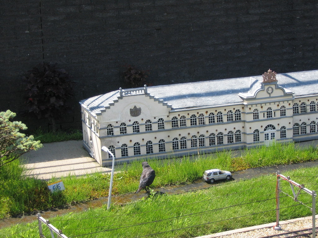 Common blackbird in front of a scale model of a building at the Madurodam miniature park