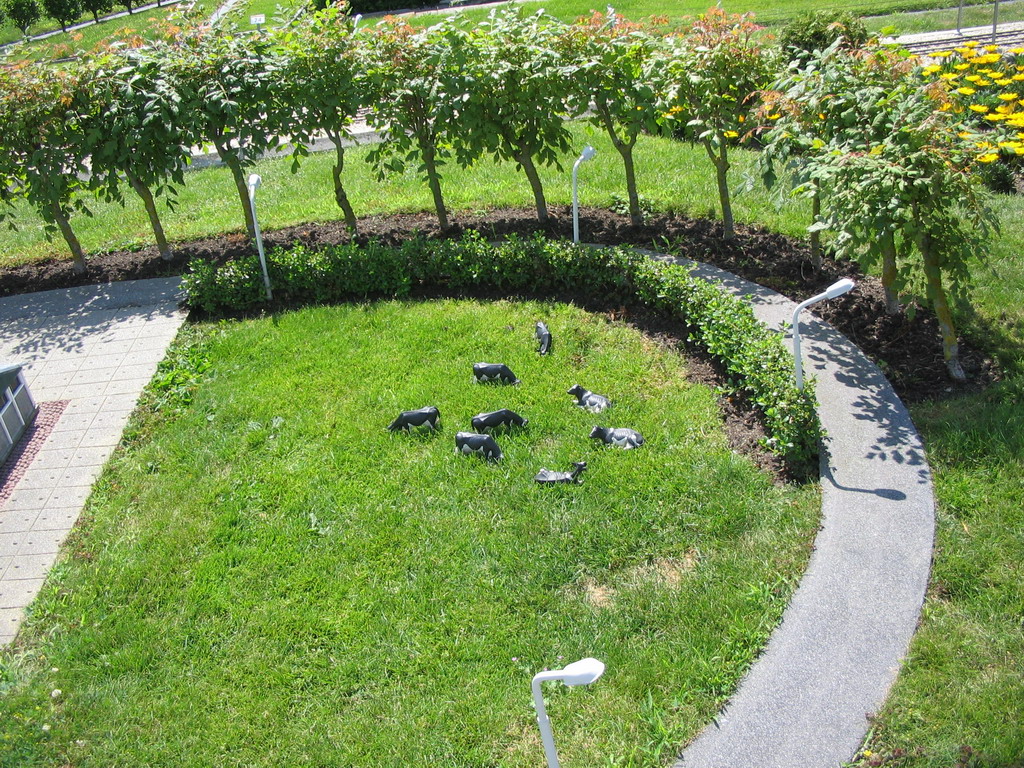 Scale models of cows in a grassland at the Madurodam miniature park