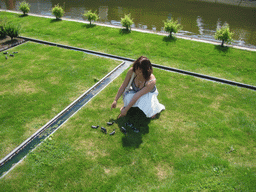 Miaomiao with scale models of cows in a grassland at the Madurodam miniature park