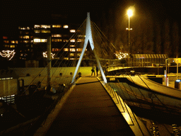 Scale model of the Erasmusbrug bridge of Rotterdam at the Madurodam miniature park, by night