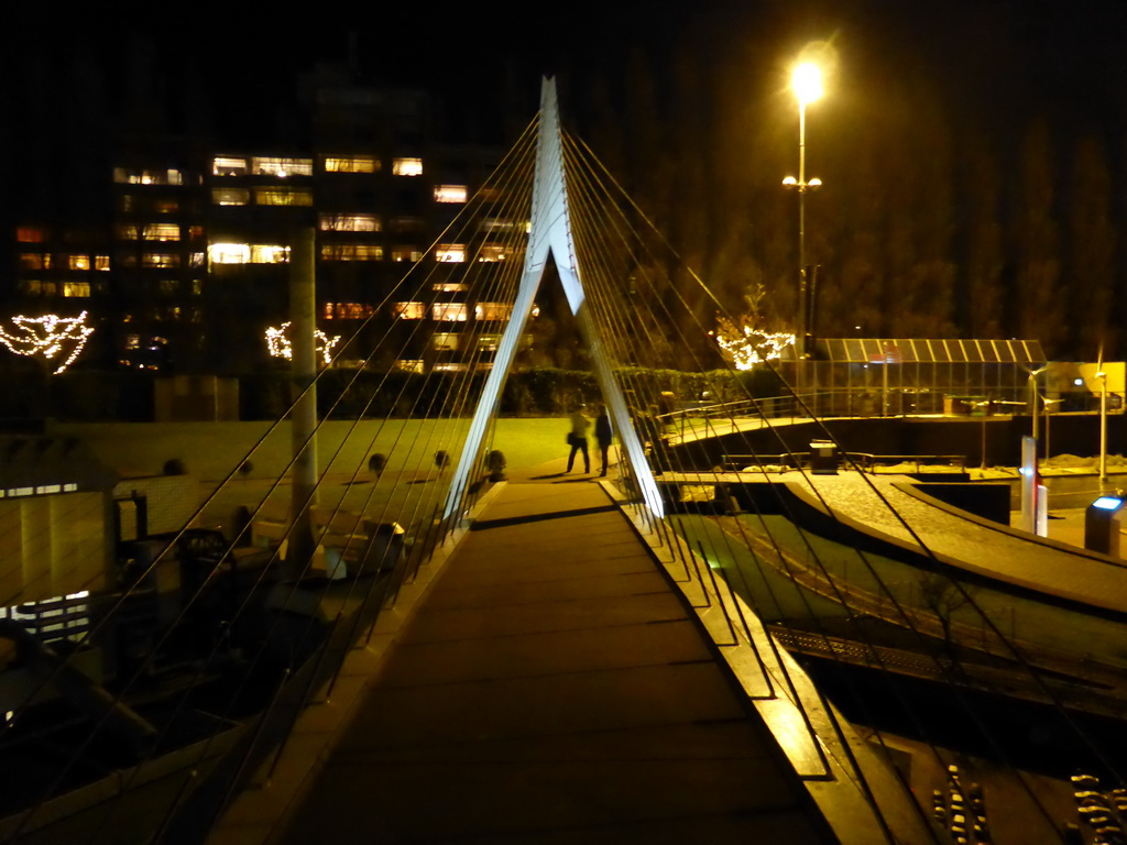 Scale model of the Erasmusbrug bridge of Rotterdam at the Madurodam miniature park, by night