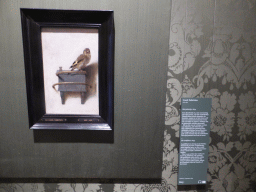 Painting `Het Puttertje` by Carel Fabritius, with explanation, at Room 13 at the Second Floor of the Mauritshuis museum