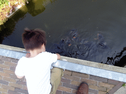 Max with fish at the Madurodam miniature park