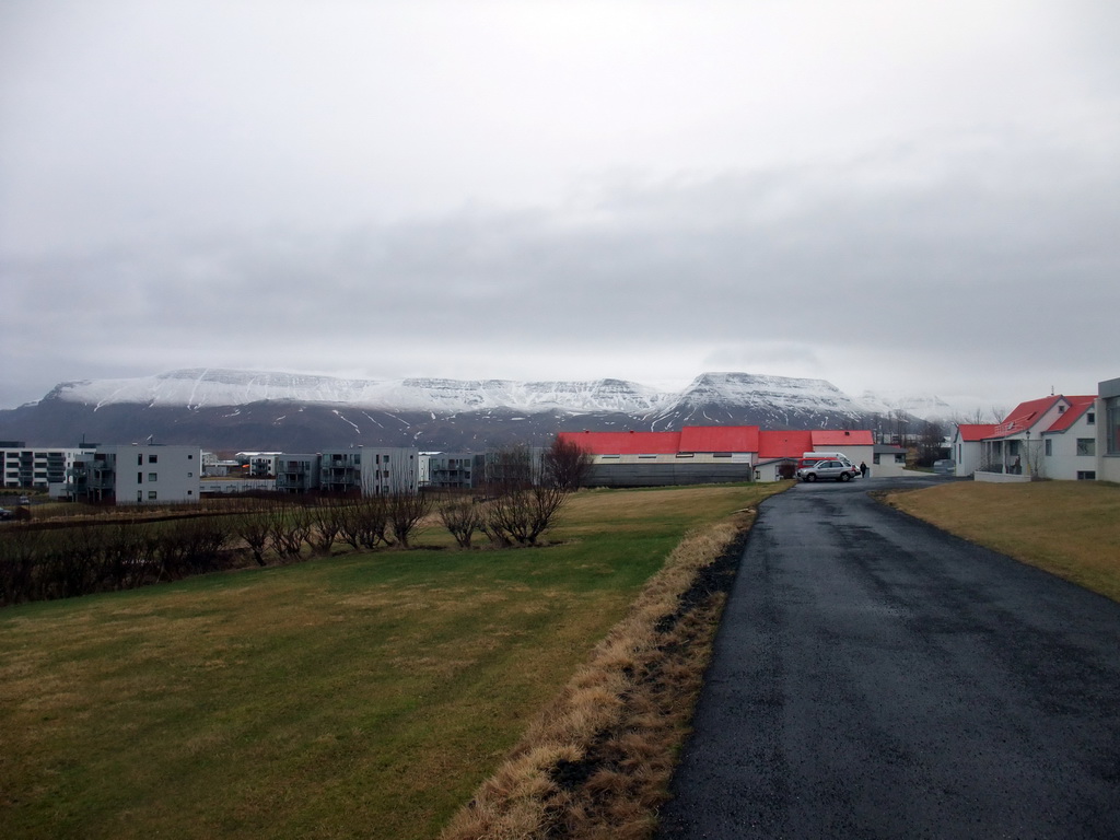 Mount Esja and buildings at Mosfellsbær