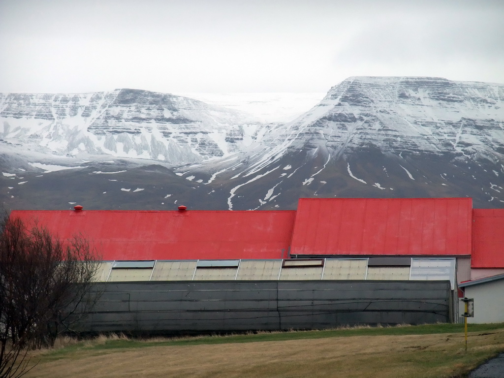 Mount Esja and buildings at Mosfellsbær