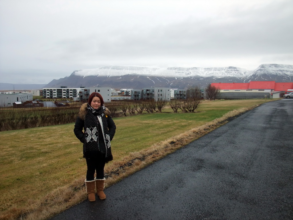 Miaomiao at a parking place at Mosfellsbær, with a view on Mount Esja