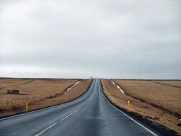 The Þingvallavegur road from Reykjavik