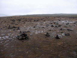 Stones at the west side of Þingvallavatn Lake at Þingvellir National Park