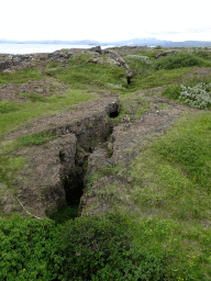 Ravine at Þingvellir National Park, viewed from the Hakið Viewing Point