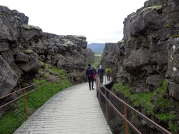 Path through the Almannagjá Gorge at Þingvellir National Park, viewed from the south side