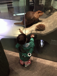 Max with stuffed animals at the `Van hot naar her` exhibition at the second floor of the Natuurmuseum Brabant