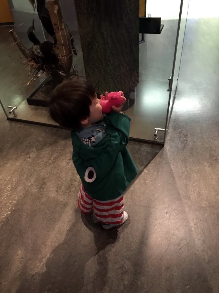 Max with stuffed animals at the `Van hot naar her` exhibition at the second floor of the Natuurmuseum Brabant