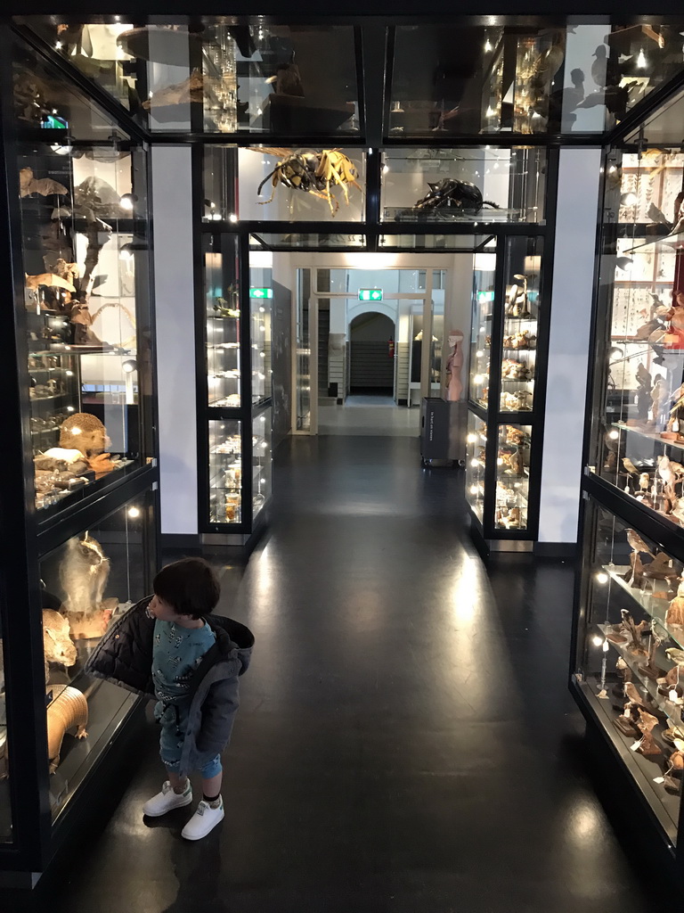 Max at the OO-zone at the ground floor of the Natuurmuseum Brabant