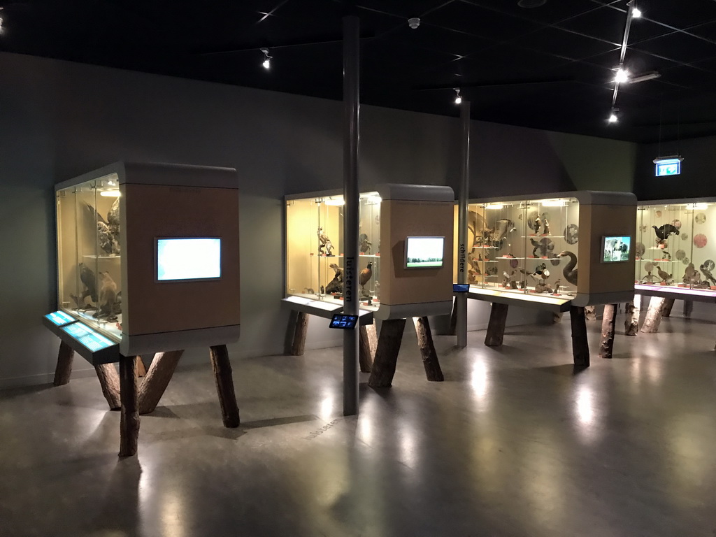 Stuffed animals at the `De Dieren van Jeroen Bosch` exhibition at the first floor of the Natuurmuseum Brabant