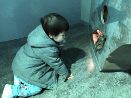 Max with a stuffed rabbit at the `Beleef Ontdek Samen: BOS` exhibition at the second floor of the Natuurmuseum Brabant