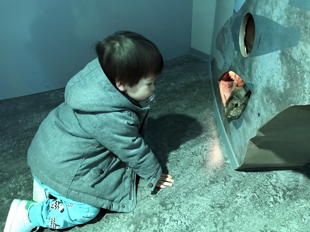 Max with a stuffed rabbit at the `Beleef Ontdek Samen: BOS` exhibition at the second floor of the Natuurmuseum Brabant