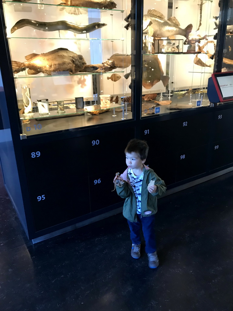 Max with stuffed animals at the OO-zone at the ground floor of the Natuurmuseum Brabant