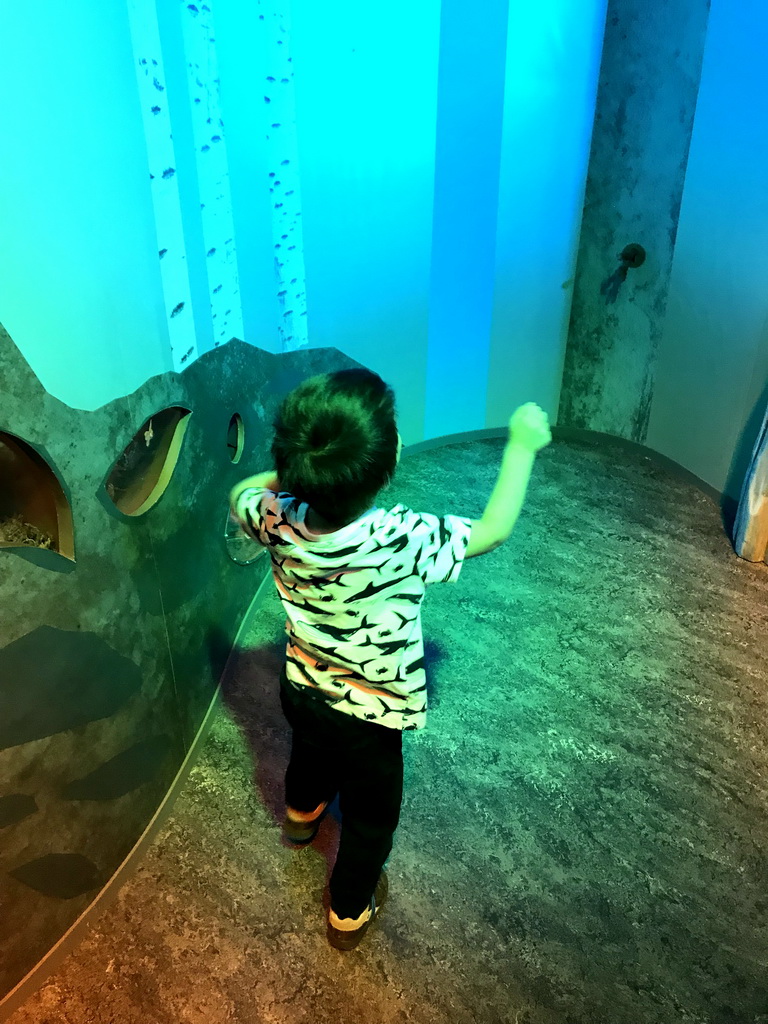 Max at the `Beleef Ontdek Samen: BOS` exhibition at the second floor of the Natuurmuseum Brabant